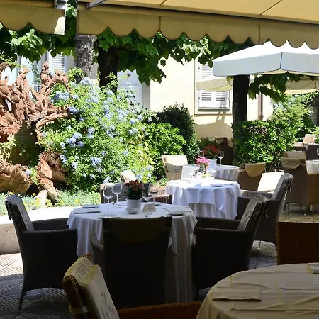 Goya Forte dei Marmi